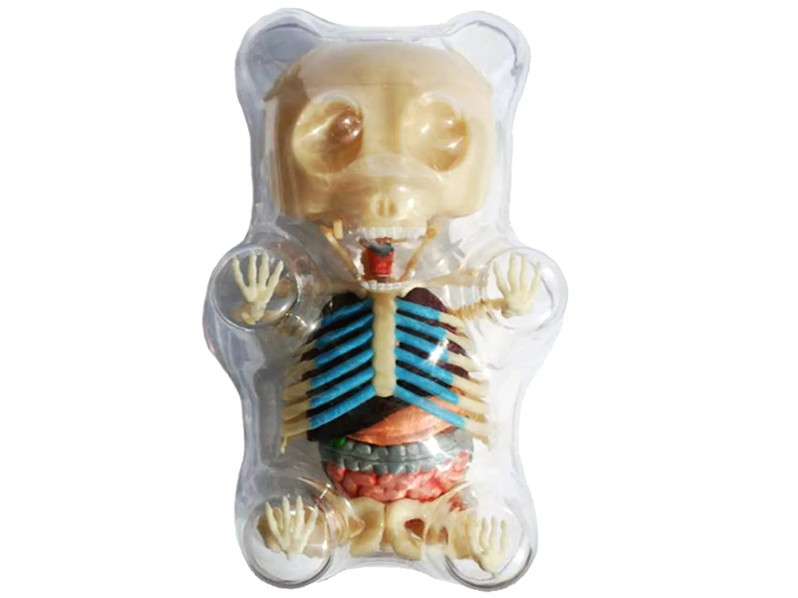 4D Master Gummi Bear Anatomy Puzzle Toy 41-Piece Clear Model 8.25