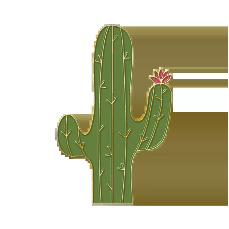 Boring Cactus