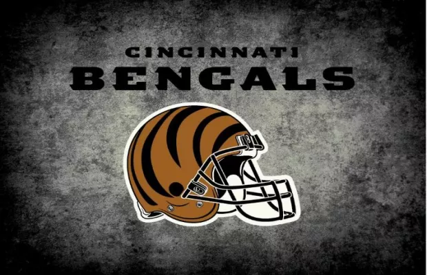 Cincinnati Bengals Distressed Rug Multiple Sizes For Sale – Game Room Gorilla