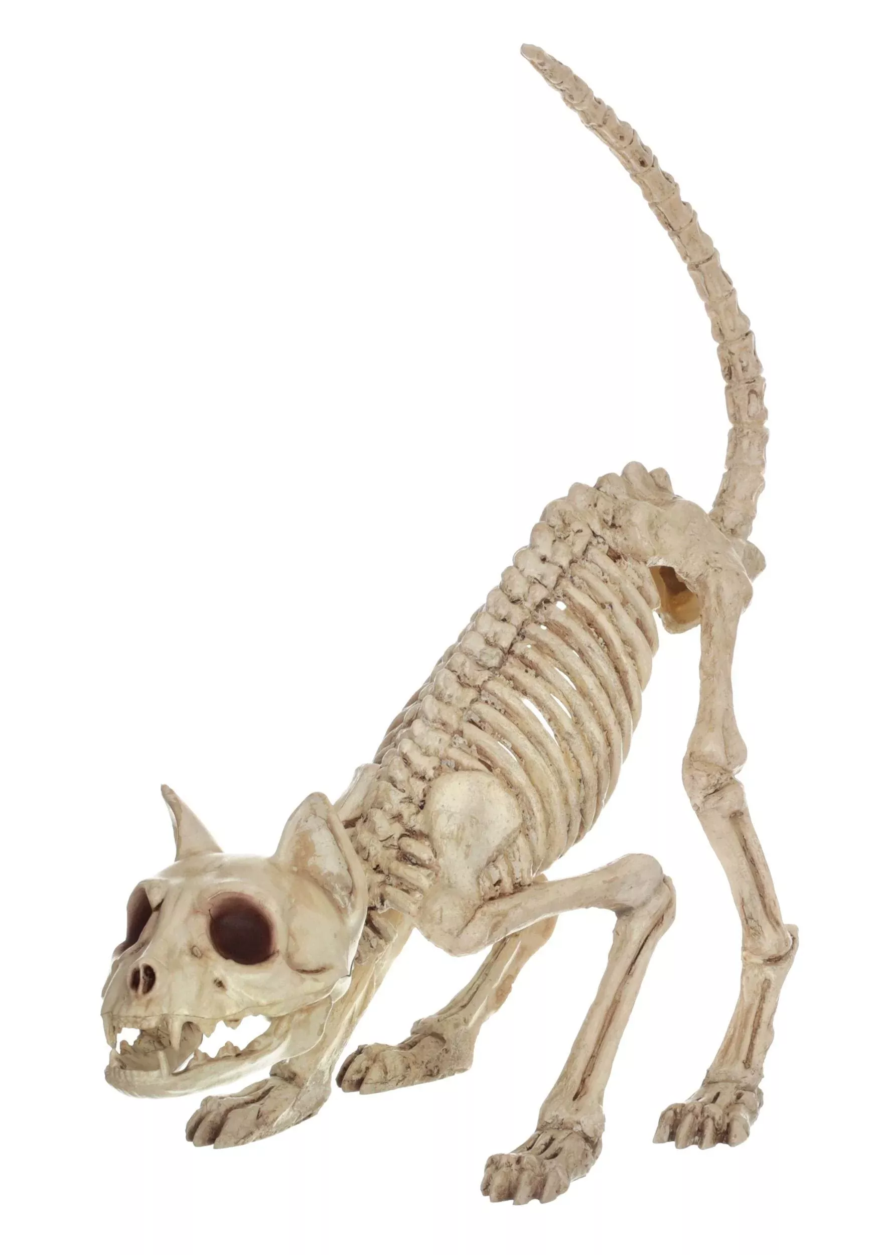 Crazy Bonez Pouncing Skeleton Kitty 7" Tall Bone Halloween Decoration
