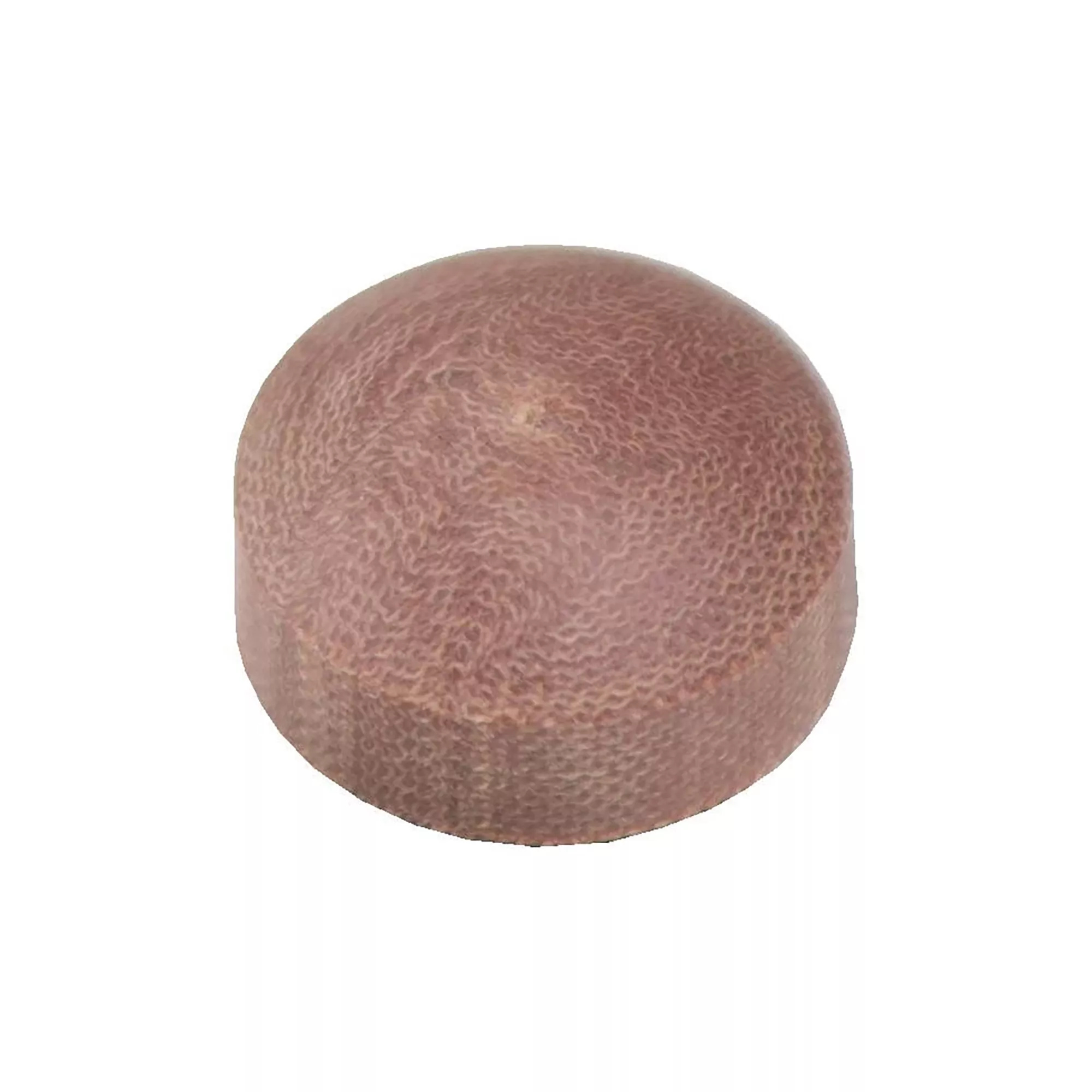 Elite Phenolic Pool Cue Tip (Single) For Sale – Game Room Gorilla
