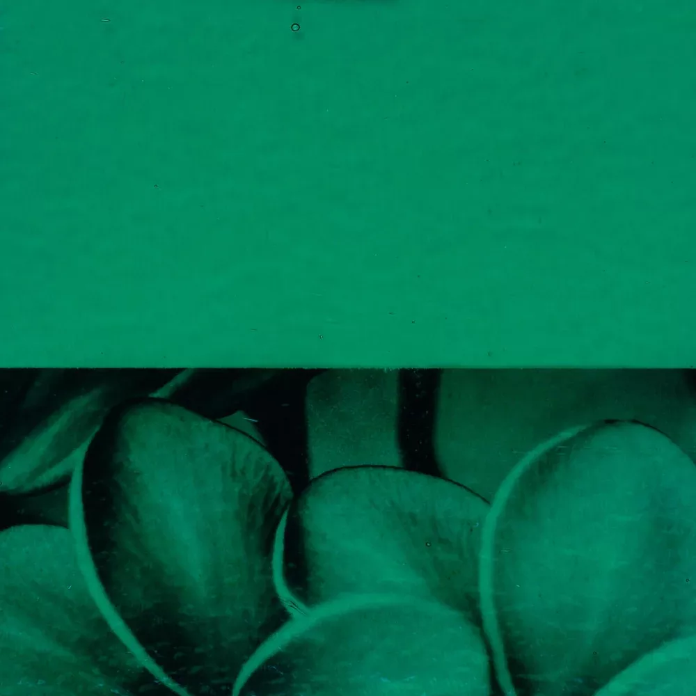 Emerald Green Transparent