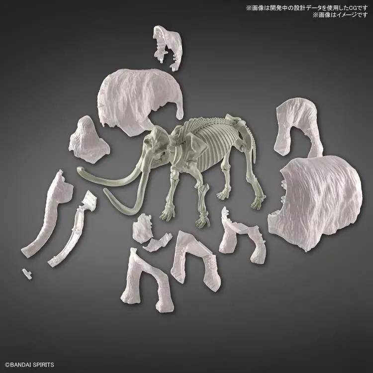 Exploring Lab Nature: Mammoth