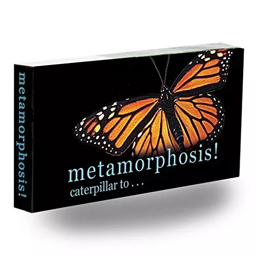 Fliptomania Flipbook Monarch Butterfly Metamorphosis Medium Butterfly