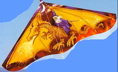 Gayla 110 42" Dragon Wizard Kite