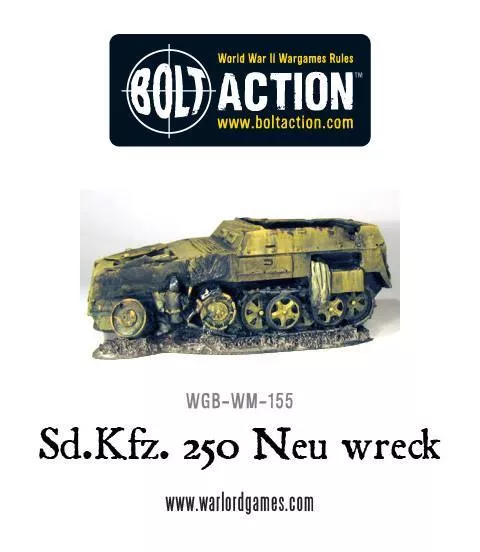 Germany: Wrecked Sd.Kfz 250 Neu [MTO]