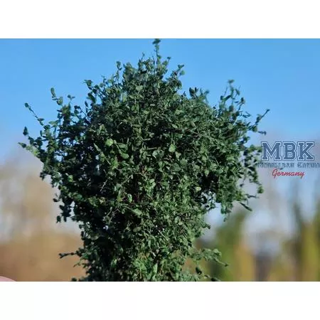 Hagermann HH-HGBG0424 Bushes/Hedges - darkgreen