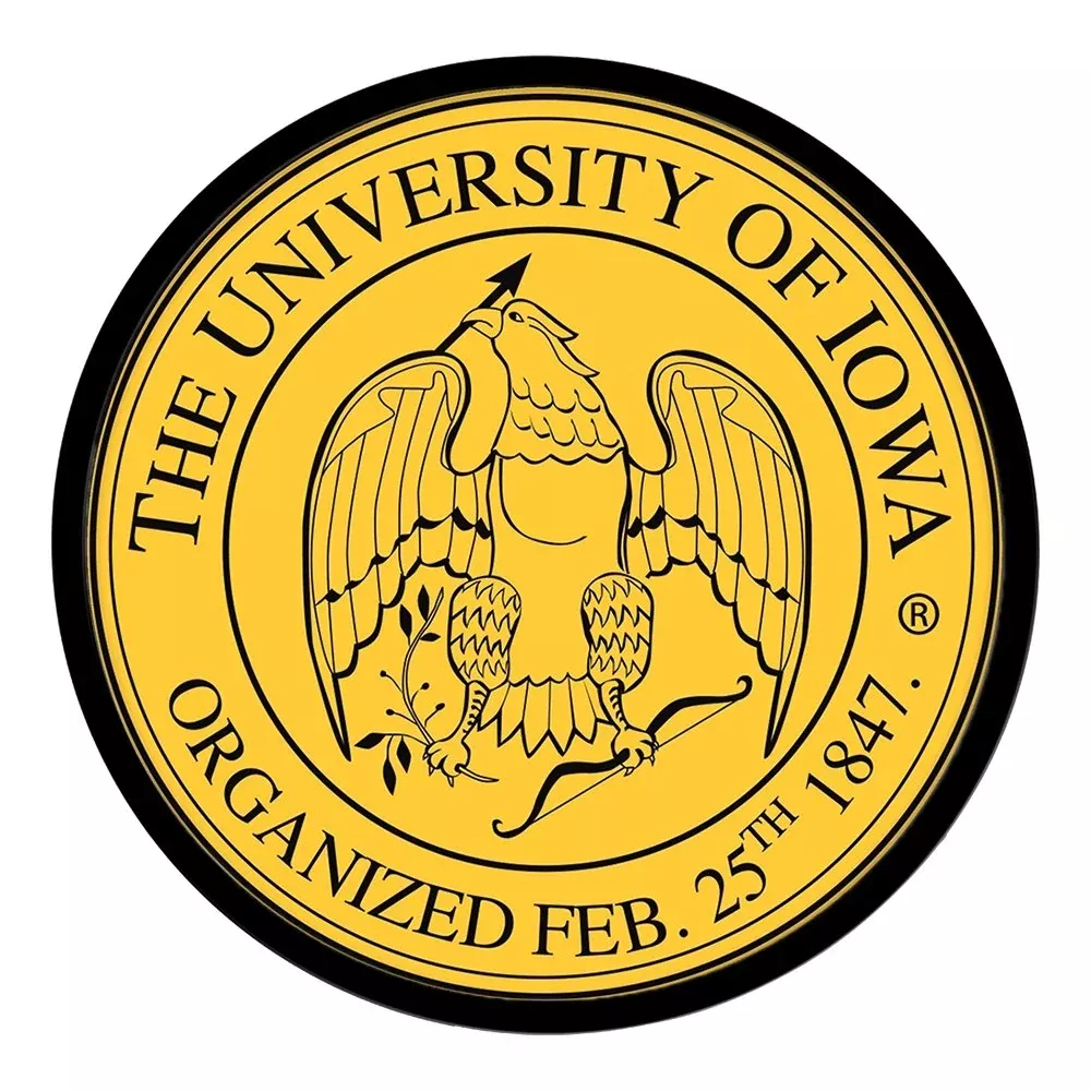Iowa Hawkeyes: University Seal - Round Modern Disc Wall Sign