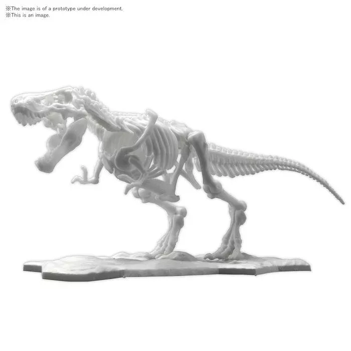 LIMEX Skeleton: Tyrannosaurus