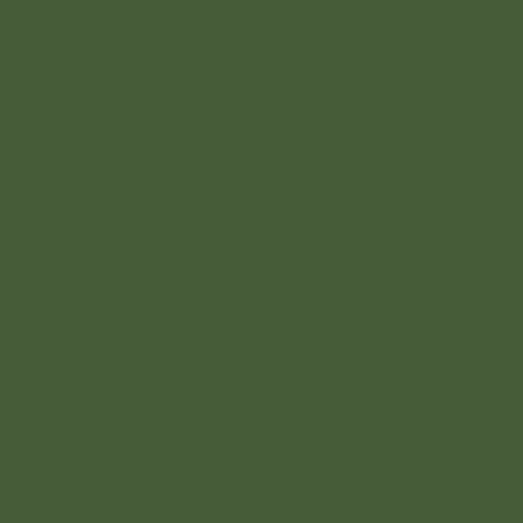 Mission Models MIOMMP-032 Russian Green Modern AFV Acrylic Paint 1oz