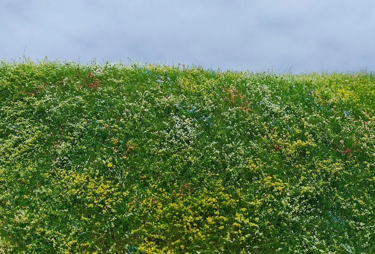 Model Scene F562 Blooming Meadow - Early Summer