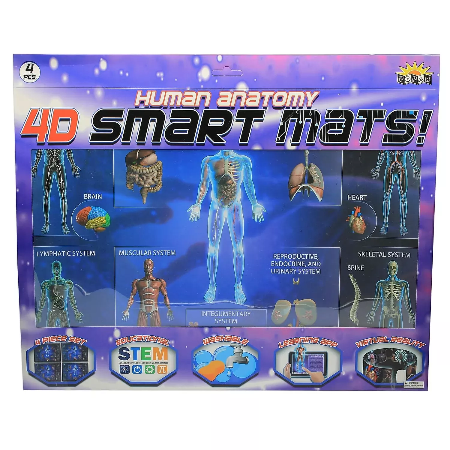 Popar Human Anatomy Smart Mats, Multicolored, Set Of 4 (Iepsmha)