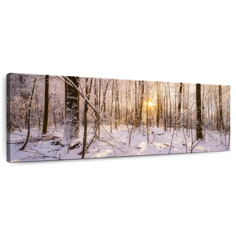Winter Forest Panorama In Warm Sunlight Wall Art