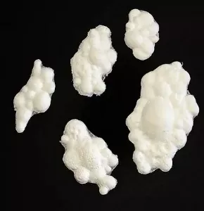 Woochie Blistering Foam Prosthetic Appliance (FO164)