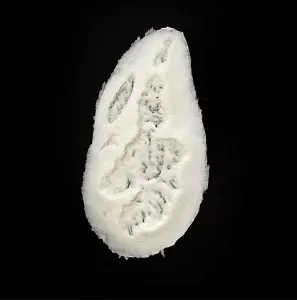 Woochie Scar Foam Prosthetic Appliance (FO165)