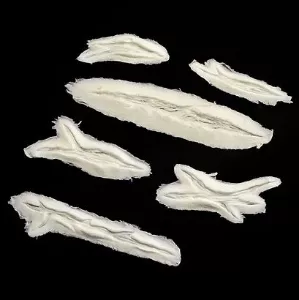 Woochie Slashes Foam Prosthetic Appliance (FO168)