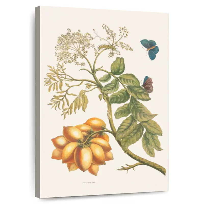 Yellow Mombin And Butterflies Wall Art