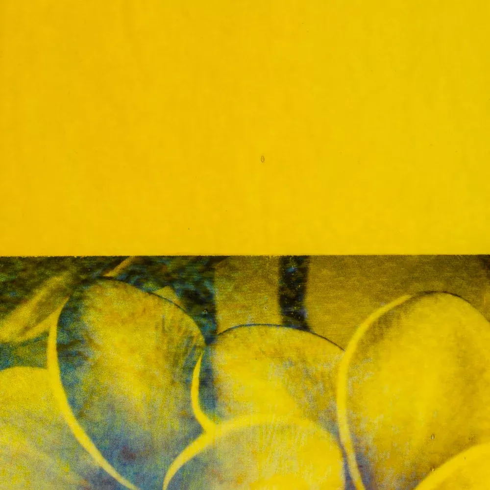 Yellow Transparent, Iridescent, rainbow