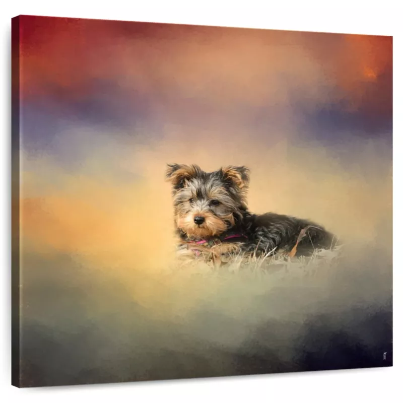 Yorkie Loving The Leaves Wall Art